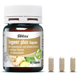 Sovita Ingwer Plus Kapseln 60 ST