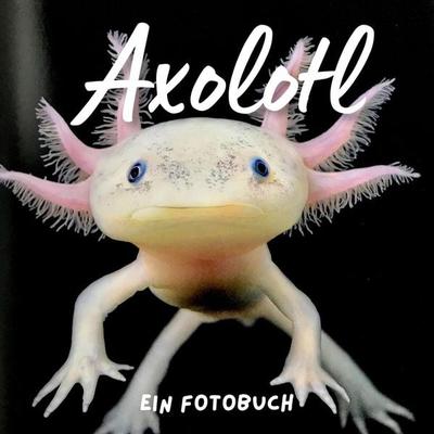 Axolotl, Taschenbuch von Bibi Hübsch, 27amigos, 978-3-7505-1717-2