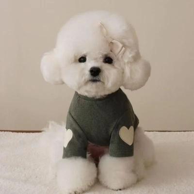 Uplift Picks LoveBear Warm Dog Hoodie For Small Dogs And Cats green xs