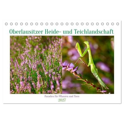Oberlausitzer Heide- und Teichlandschaft (Tischkalender 2027 DIN A5 quer), CALVENDO Monatskalender