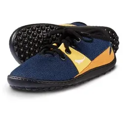 leguanito speedy blue 31