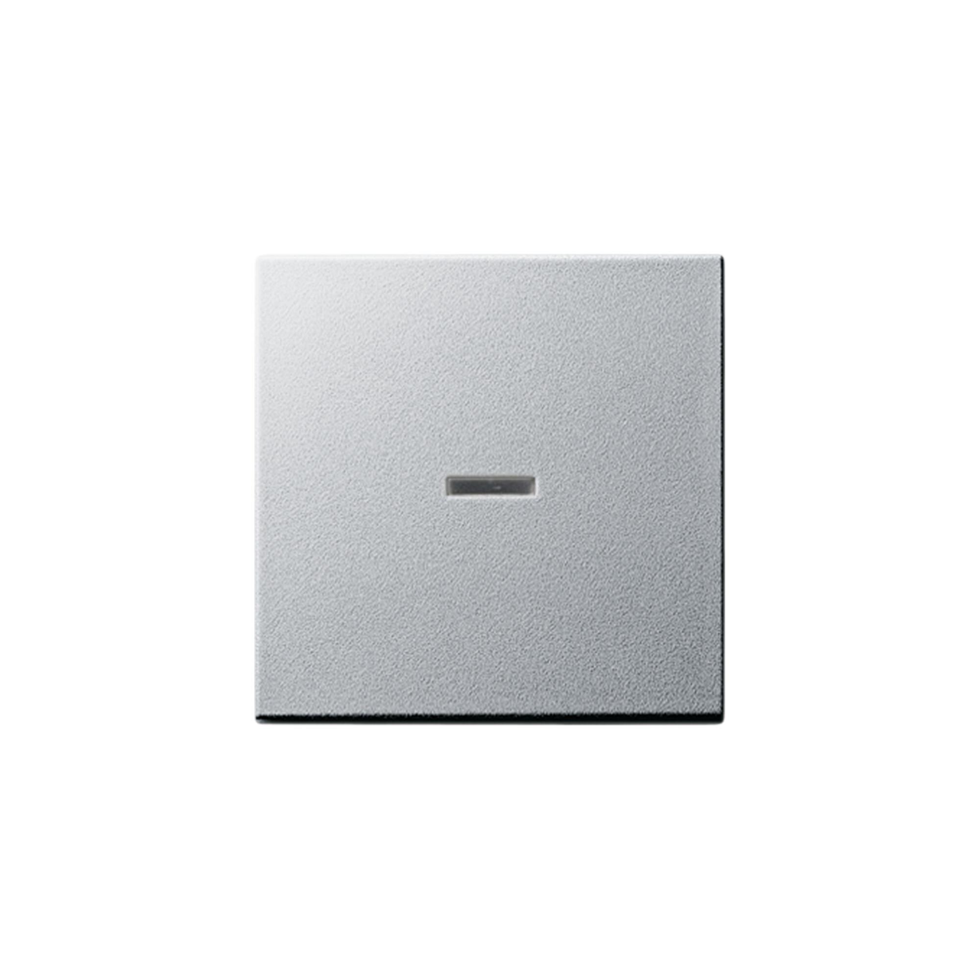 Gira Wippe alu mit Kontroll-Fenster 029026)