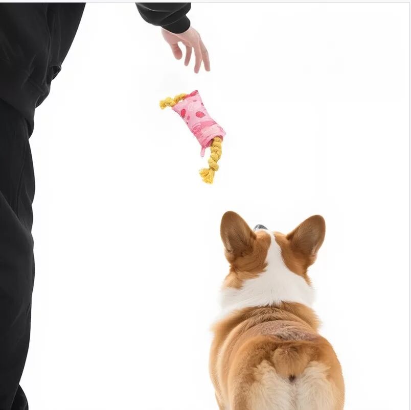 INF Jouet à mâcher pour animaux de compagnie avec barre à nœuds en corde - Jouet interactif et doux en polyester pour chiens