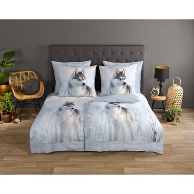 Wendebettwäsche GOOD MORNING "Sachar", blau, B/L: 135cm x 200cm, 1 Stk., 1 Stk., Renforcé, B/L: 80cm x 80cm, 2 Stk., Renforcé, Obermaterial: 100% Baumwolle, Bettwäsche, Wendebettwäsche, Baumwolle, 135x200, Reißverschluss, Wendeoptik, Winter, Husky,...