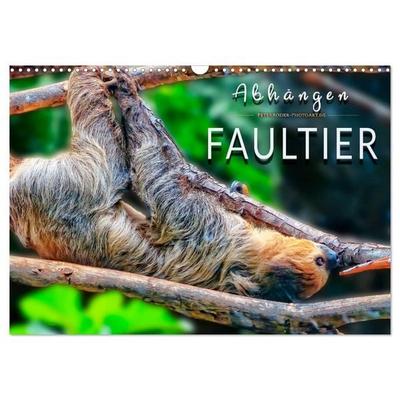 Abhängen - Faultier (Wandkalender 2027 DIN A3 quer), CALVENDO Monatskalender