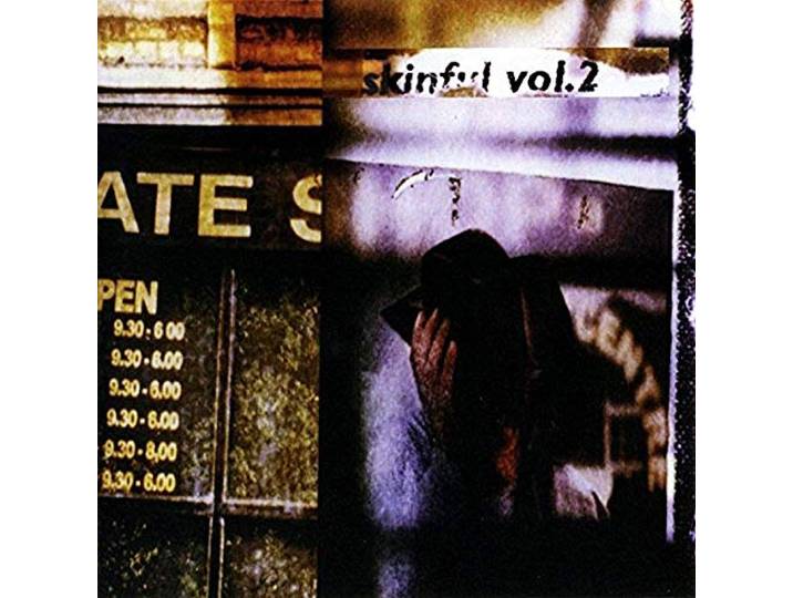 SKINFUL VOL.2-V/A