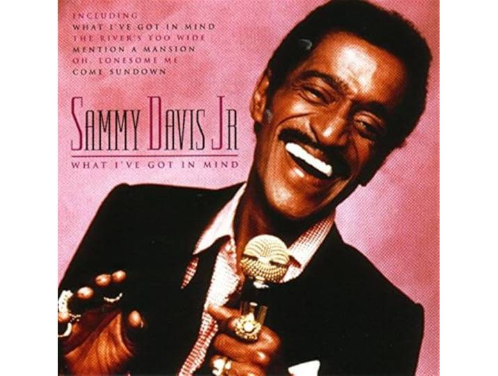 Sammy Davis Jr - What I Ve Got In Mind
