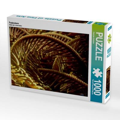 Federstern (Puzzle)