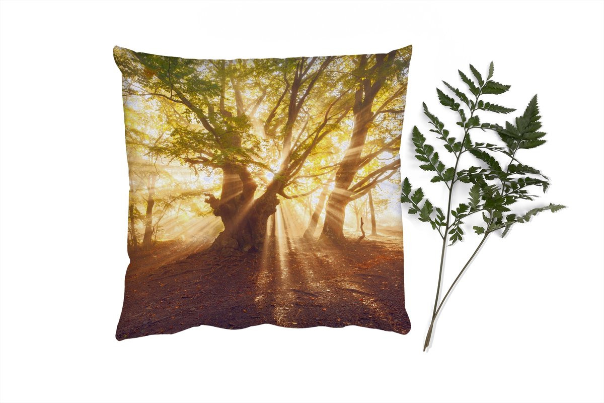 PillowMonkey Sierkussen Boom Bos Zon - 45 x 45 cm