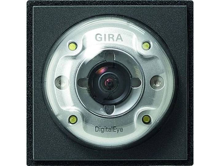 Gira caméra couleur anth 126567