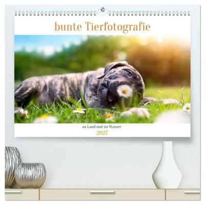 bunte Tierfotografie an Land und im Wasser (hochwertiger Premium Wandkalender 2027 DIN A2 quer), Kunstdruck in Hochglanz