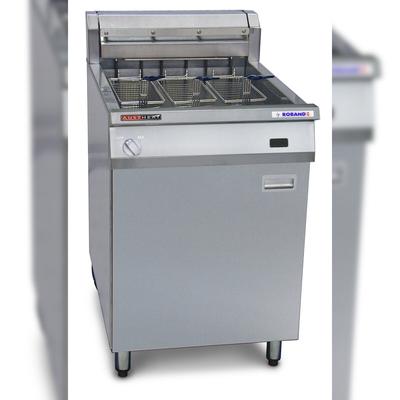 Roband Standfritteuse AF813R