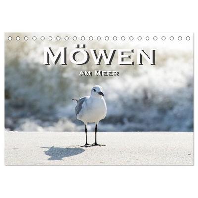 Möwen am Meer (Tischkalender 2027 DIN A5 quer), CALVENDO Monatskalender