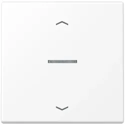 Jung Wippe mit Lichtleiter LS 101 KO5P WWM