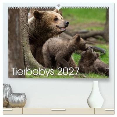Tierbabys 2027 (hochwertiger Premium Wandkalender 2027 DIN A2 quer), Kunstdruck in Hochglanz