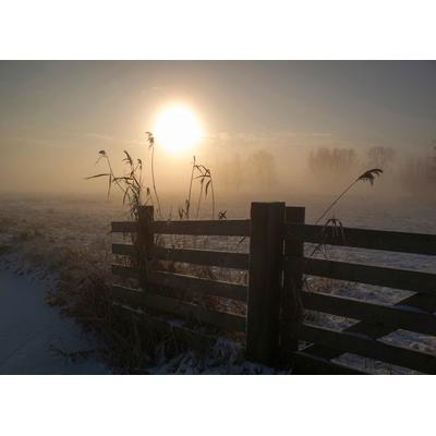 Fototapete PAPERMOON "Photo-Art ALIDA VAN ZAANE, WINTERSTIMMUNG", bunt, B:4,5m L:2,8m, Vlies, Tapeten