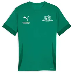 Puma teamGOAL Keeperschool Shirt grün