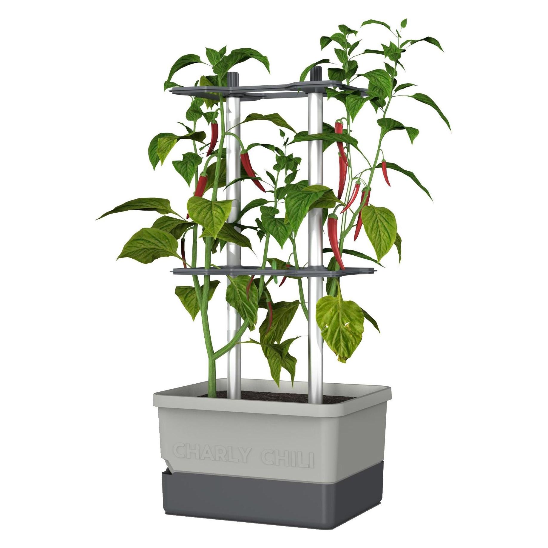 Gusta Garden Charly Chili (34.50 x 27.50 x 68.70 cm) (100710)