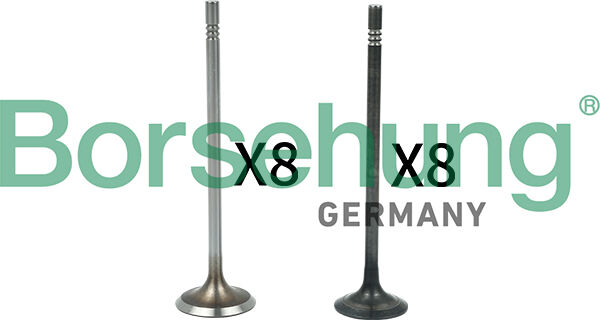 Borsehung Ventilsatz, Einlass-/auslassventil B18631 Für Vag