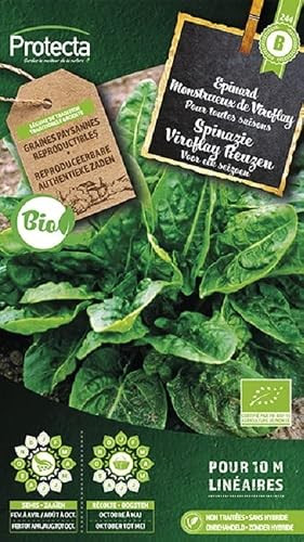Protecta Biologische Spinazie Viroflay Reuzen Groentezaden