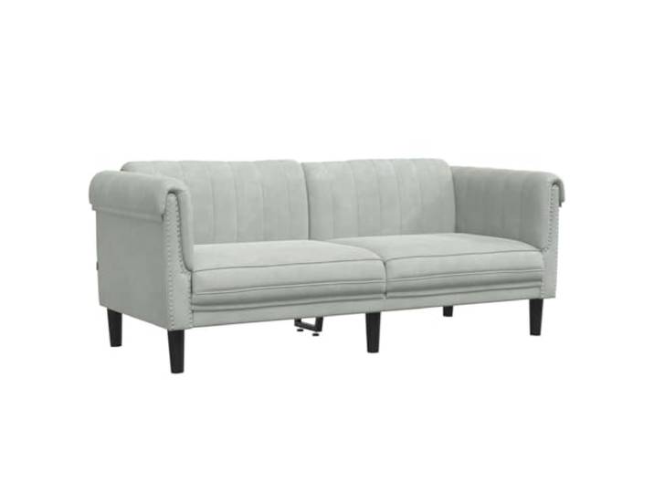 RJPLMFV 2-Sitzer-Sofa, hellgrau, Velours Bequemer gepolsterter Sitz, robuste Füße, modernes Design, Tragkraft 110 kg pro Sitz