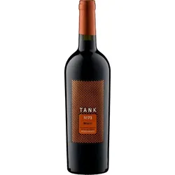 TANK 73 Merlot IGT Veneto Appassimento Camivini 2023