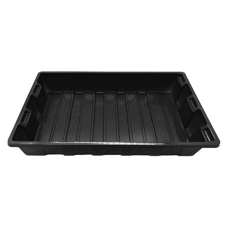 Garden Center Seed sprouter tray cover, 37 cm x 23 cm x 5.7 cm (66033607)