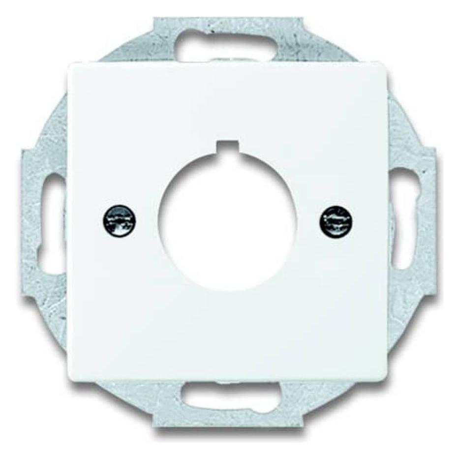 Busch-Jaeger Zentralscheibe (2CKA001724A4256)