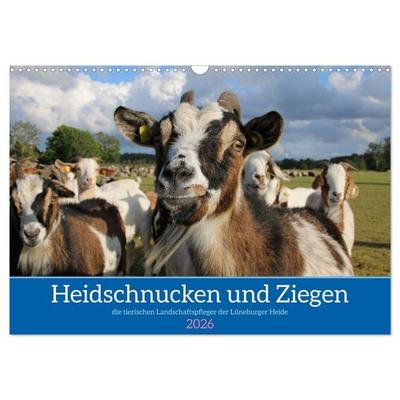 Heidschnucken und Ziegen die tierischen Landschaftspfleger der Lüneburger Heide (Wandkalender 2026 DIN A3 quer), CALVENDO Monatskalender