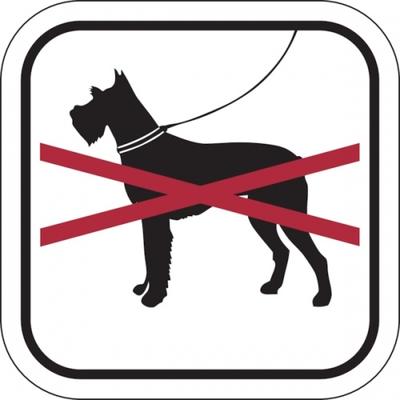 Hinweisschild, Hunde verboten, Aluminium/Folie, 200 x 200 mm - 200x200x2 mm Aluminium glatt