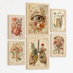 POSTER Kollektion aus 6 Anatomie Drucke und mit Herz Schädel Lungen Nieren und Gehirn Pergament Hintergrund dekoration Größe Schwarzer Rahmen A3 & A4