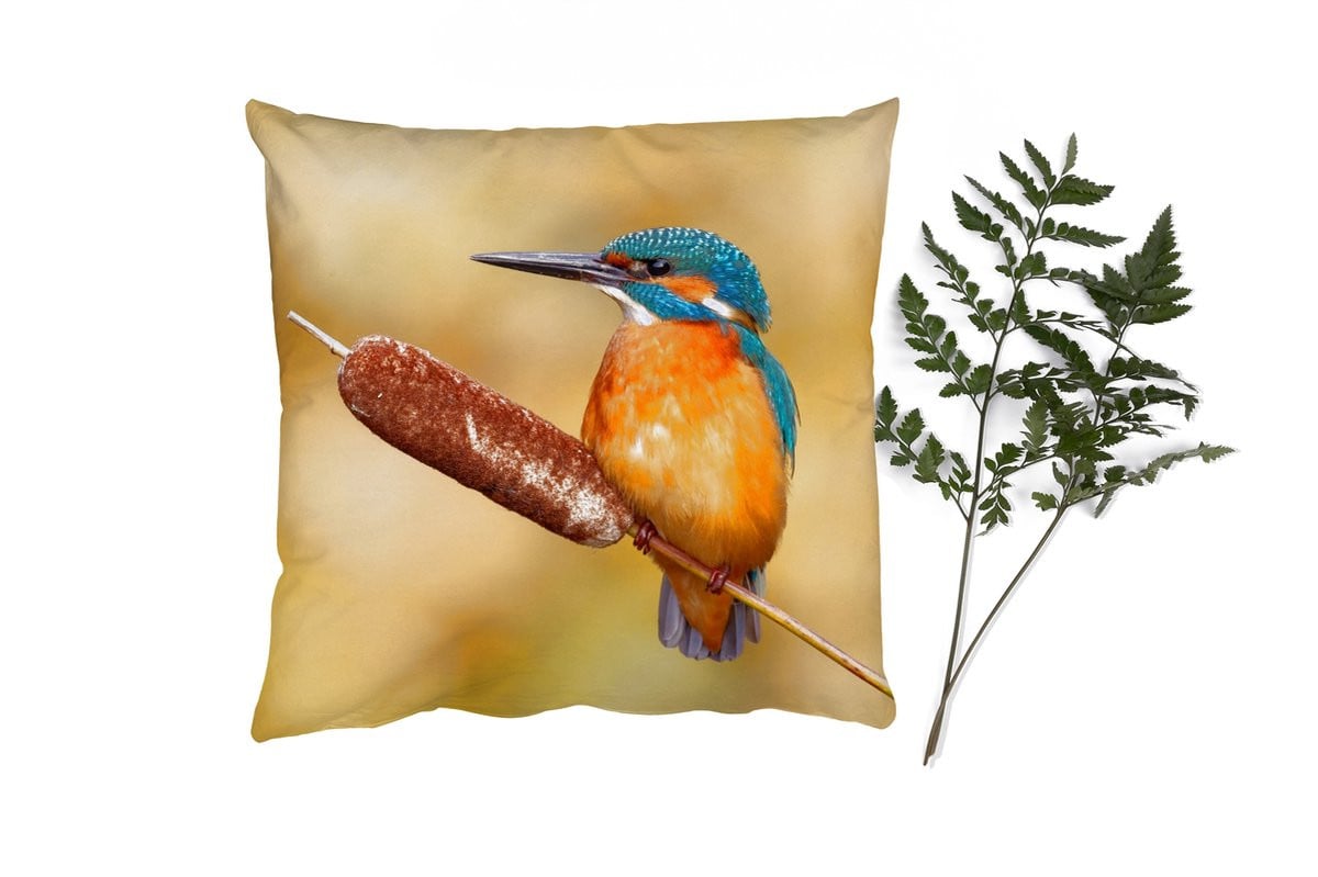 Sierkussen IJsvogel Natuur voor de Woonkamer, 45 x 45 cm