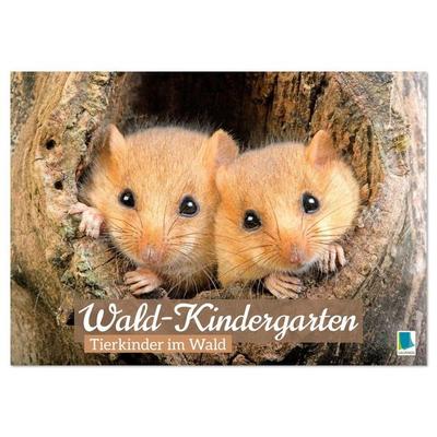 Wald-Kindergarten: Tierkinder im Wald (Wandkalender 2026 DIN A3 quer), CALVENDO Monatskalender