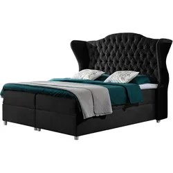 BOXBETT Livia - H3