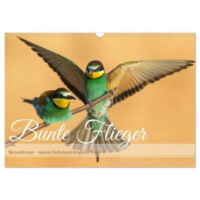 Bunte Flieger (Wandkalender 2026 DIN A3 quer), CALVENDO Monatskalender