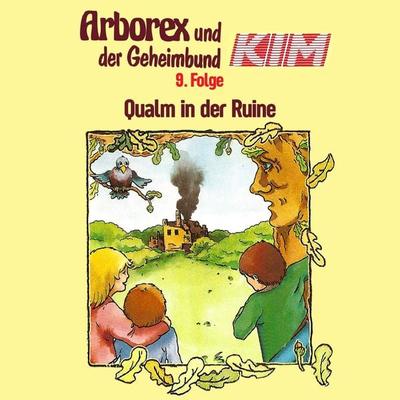 09: Qualm in der Ruine - Erika Immen,Fritz Hellmann, Audio, 4066339023321