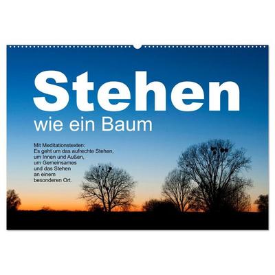 Stehen wie ein Baum (Wandkalender 2026 DIN A2 quer), CALVENDO Monatskalender