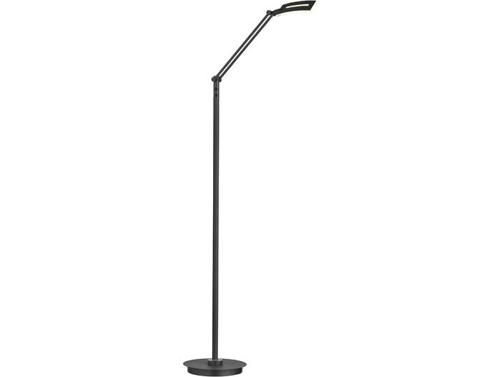Leselampe Evolo schwarz Eisen 600 lm H 110 cm - LED - Lichtfarbe: Extra warmweiss - Kaltes Tagesweiss- LED Energiesparlampe