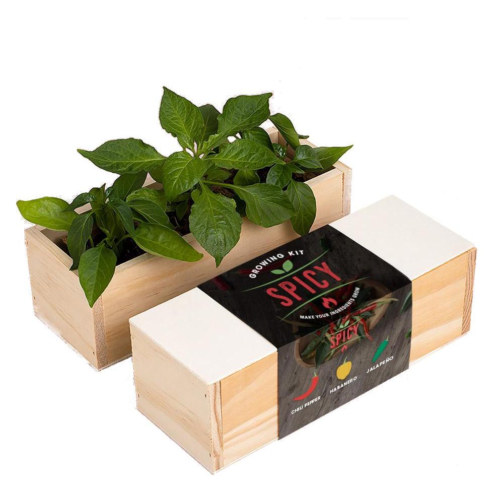 Resetea Kulinarisches Grow Kit "Spicy" (Pflanzensamen) (Erst163)