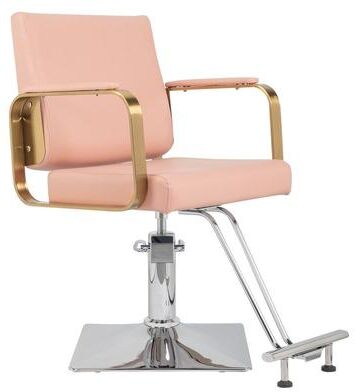 karlinc PVC Leather Stainless Steel Armrests Footrests Square Chassis Salon Chair - N/A