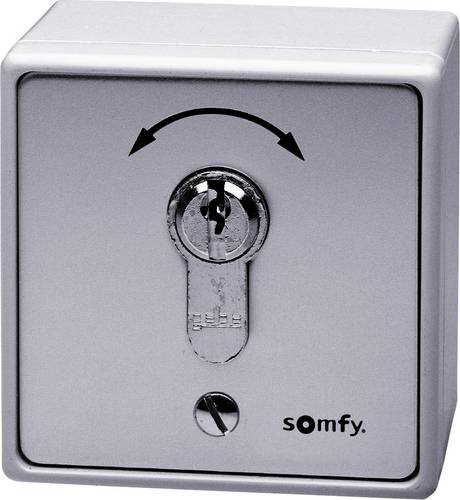 Somfy 1871148 Torantrieb Schlüsseltaster Unterputz, Aufputz