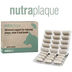 NUTRAVET Nutraplaque für Hunde & Katzen 60 Kapseln - Unterstützung bei der Reduzierung von Zahnbelag, Zahnstein und Mundgeruch