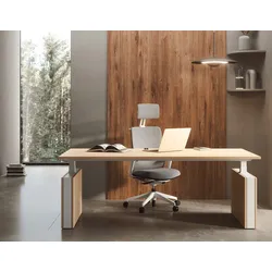 Höhenverstellbarer Bürotisch Mobiste