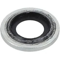 JAGWIRE Dichtung M6 (1 Stück) für DOT (schwarz)