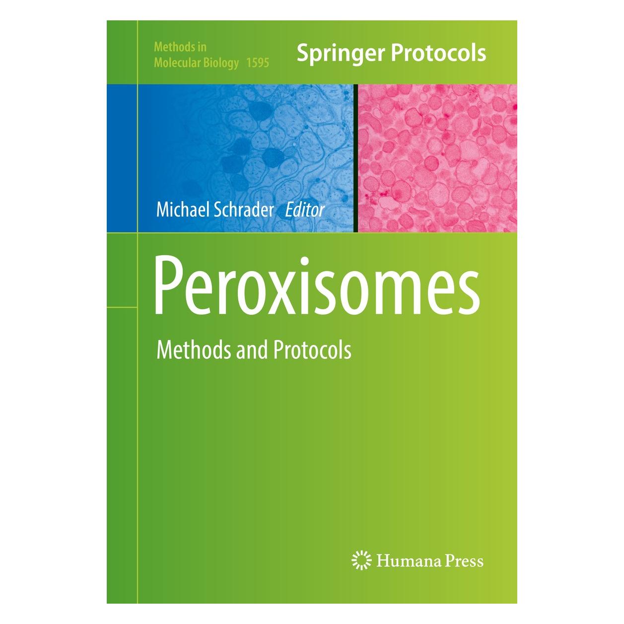 Springer Peroxisomes (Englisch, Hardcover, Michael Schrader) (9781493969357)