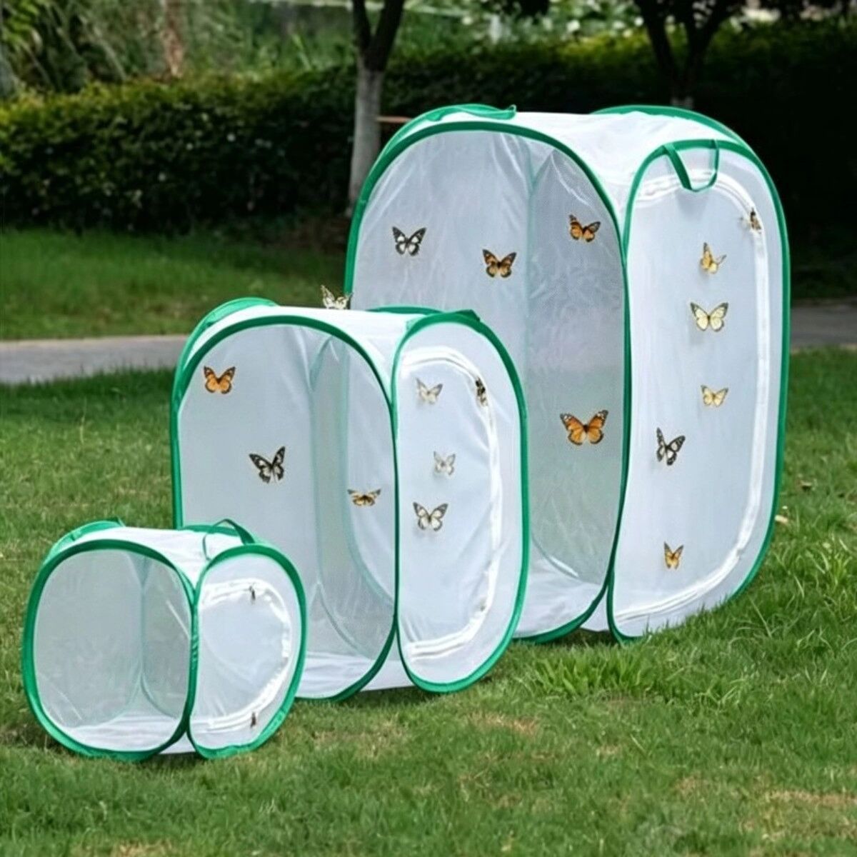 INF Cage à insectes pliable – Filet en polyester portable pour élevage de papillons et boîte de culture transparente, tailles 30 cm