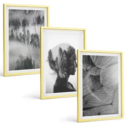 BILDER SET 3er Set - 40x60 cm Goldrahmen - Waldnebelporträt Baum Löwenzahn