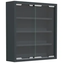 VCM Wandvitrine AGISA - B/H/T ca. 37.00x40.00x10.00