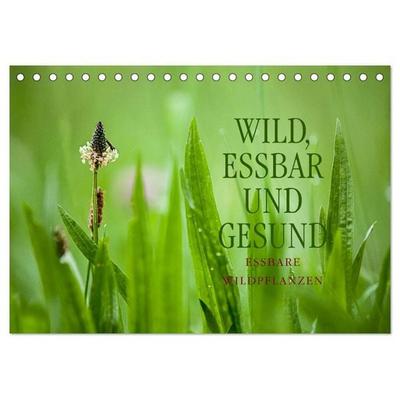 WILD, ESSBAR UND GESUND Essbare Wildpflanzen (Tischkalender 2026 DIN A5 quer), CALVENDO Monatskalender