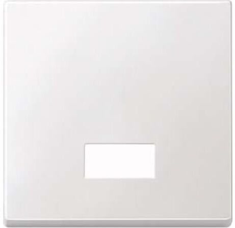 Merten Wippe Symbol Fenster pws rechteckig 434819)